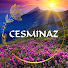 lNfzzT4i9kU-channel-avatar-Cesminaz