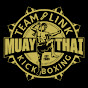 Team Link Muay Thai Worcester logo