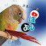 rM8cnfYq7Xw-channel-avatar-ぽんちゃん