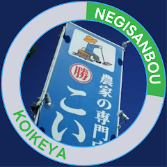 深谷で創業75年のネギ栽培専門アドバイザー ネギ参謀アイコン画像