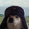 Автор