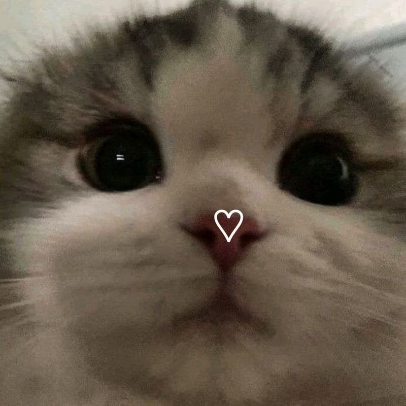 _kvba