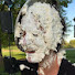 8_04BRZOMTU-channel-avatar-Messy Entertainment