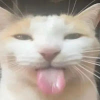 Profile Picture of Rizzy Dunne