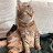 delhierro003