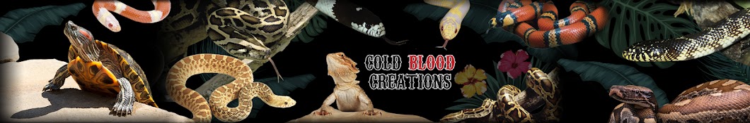 Cold Blood Creations YouTube channel avatar