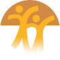 Ingenium Schools logo