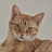 Avatar photo