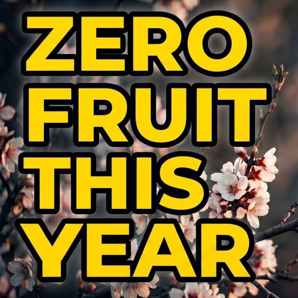 FRUiTS No.31.16 2冊 YouTube