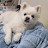 @엔라이케