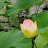 @초록바람-l9f