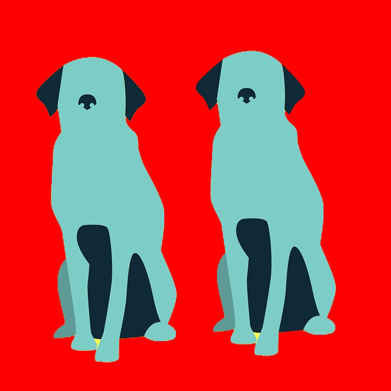 Safe Animals