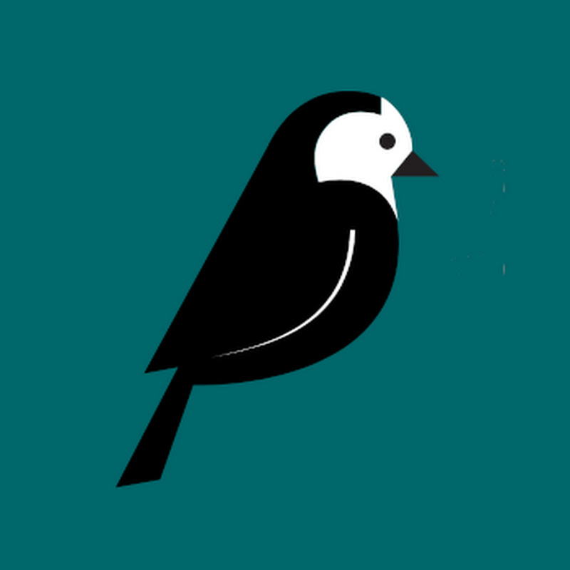 Wagtail Logo