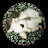 @순-푸딩