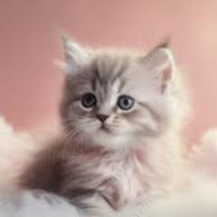 今日の風を感じて