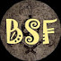 mCugFXmXrvo-channel-avatar-BSF Outdoor