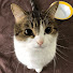 iN127pRBrQY-channel-avatar-YouCozy