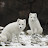 @user-qq7bx6qi2w