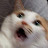 @애옹-v2m Avatar