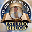 KqabW1648ok-channel-avatar-El Rincon del Toro