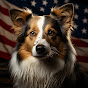 Shetland Sheepdog USA logo