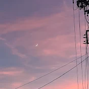 はらせいら