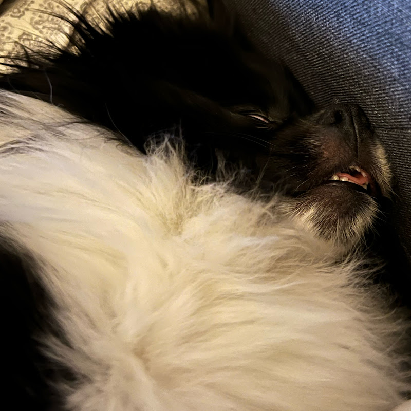 Nati_Not