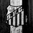 kdFA5MaK28k-channel-avatar-vini