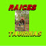 g6cmxVfnWiU-channel-avatar-RAICES TAURINAS
