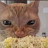 @DamienMinet029's avatar