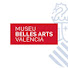 f2A9LlN57Dk-channel-avatar-Museo de Bellas Artes de Valencia