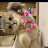 @fatmaAli-ru7hs