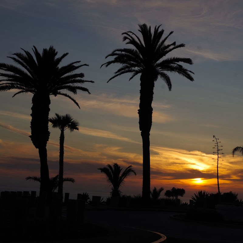 LAKEY INSPIRED - Topic