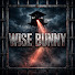 NiTeKimAwKQ-channel-avatar-Wise Bunny