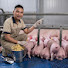 3PudlLob48c-channel-avatar-Triệu Công Family Farm - Việc Làm Chăn Nuôi 