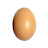 @Eggs873