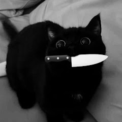 ᡣ𐭩𝐁𝐀𝐒𝐌𝐀𐙚⋆.˚