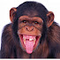 jX8npU8X5RI-channel-avatar-QQ Prank