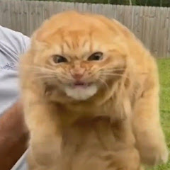 ㅆ