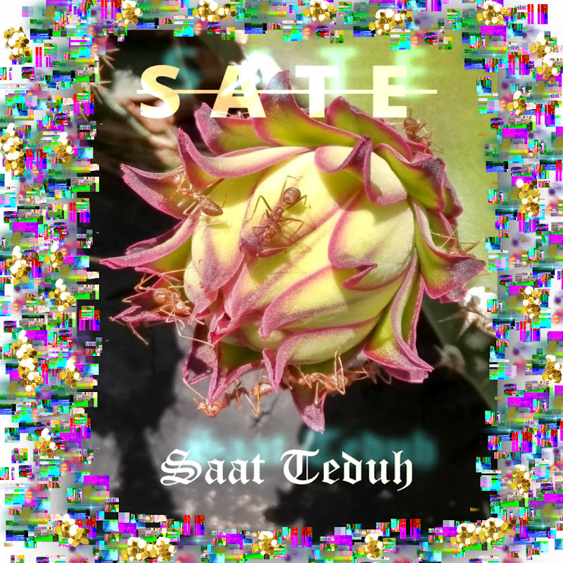 sateAKAsaatteduh