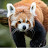 @fatpanda1597's avatar