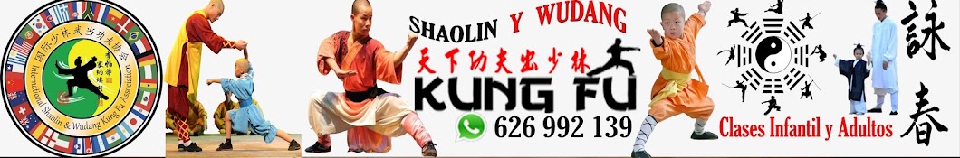 Shaolin y Wudang Kung-Fu Escuela de Artes Marciales Avatar channel YouTube 