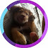 Mum5iTJN0dY-channel-avatar-Brego