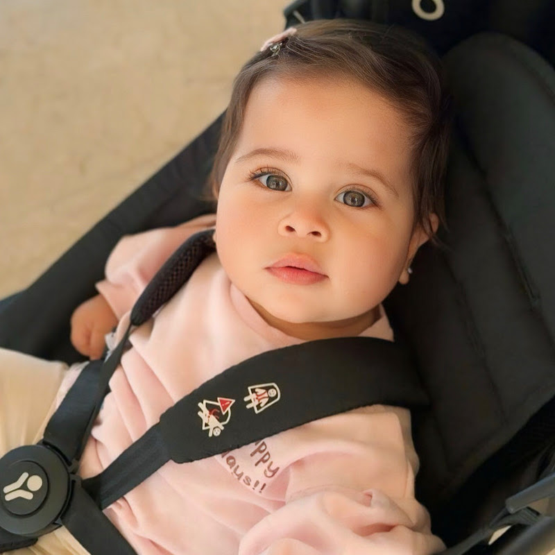 فان راية مقداد 