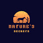 Nature's Secrets logo