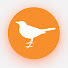 HhincQVdZG8-channel-avatar-Everyday Cinematic Birds