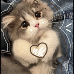 Марина  Сахарок 