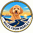 3BmO_XqW6xA-channel-avatar-Miles From Marley