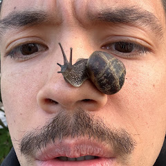 Cary The Snail