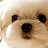 @PUPPY-n7p